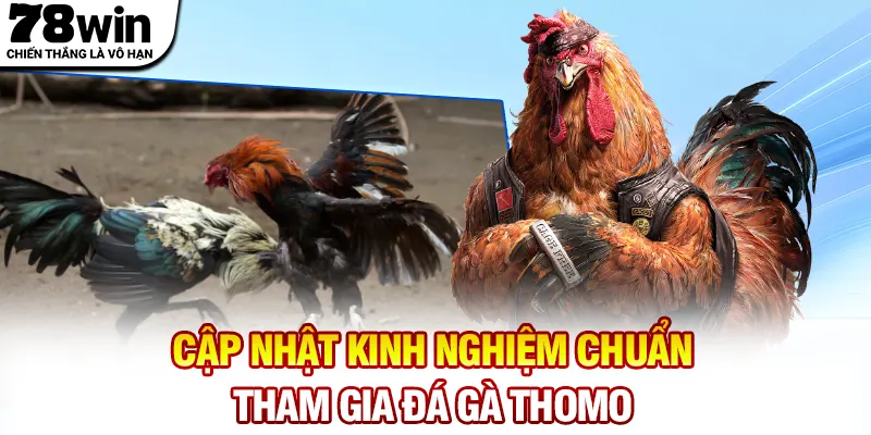 Cập nhật kinh nghiệm chuẩn tham gia đá gà Thomo