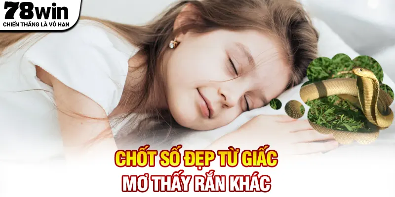 Chốt số đẹp từ giấc mơ thấy rắn khác