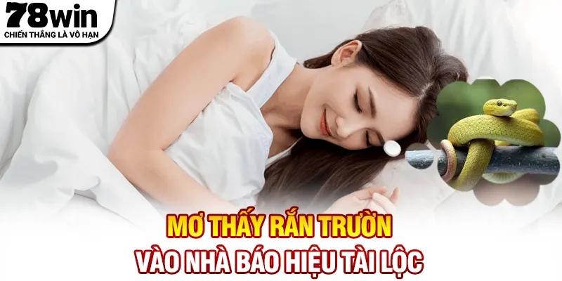 Mơ thấy rắn trườn vào nhà báo hiệu tài lộc