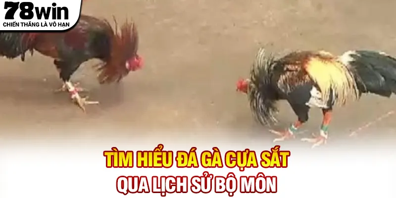 Tìm hiểu đá gà cựa sắt qua lịch sử bộ môn